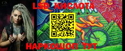 гидропоника Сланцы