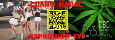 гидропоника Сланцы