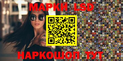 гидропоника Сланцы
