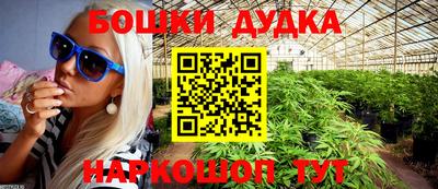 гидропоника Сланцы