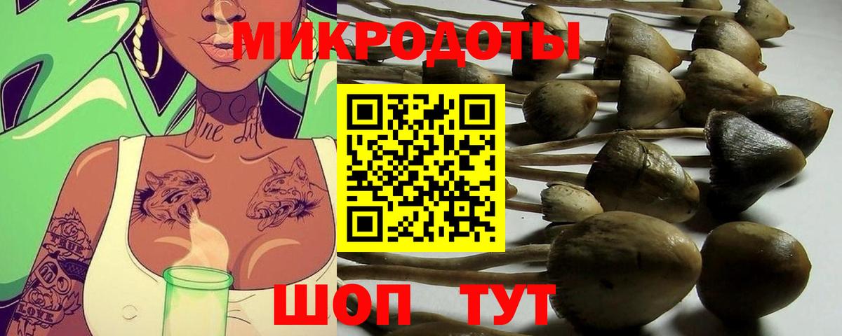 Псилоцибиновые грибы MAGIC MUSHROOMS Белорецк